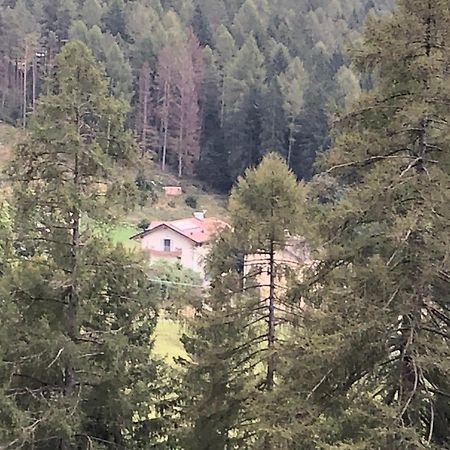 B&B Le Stagioni Di Stava Тезеро Екстериор снимка