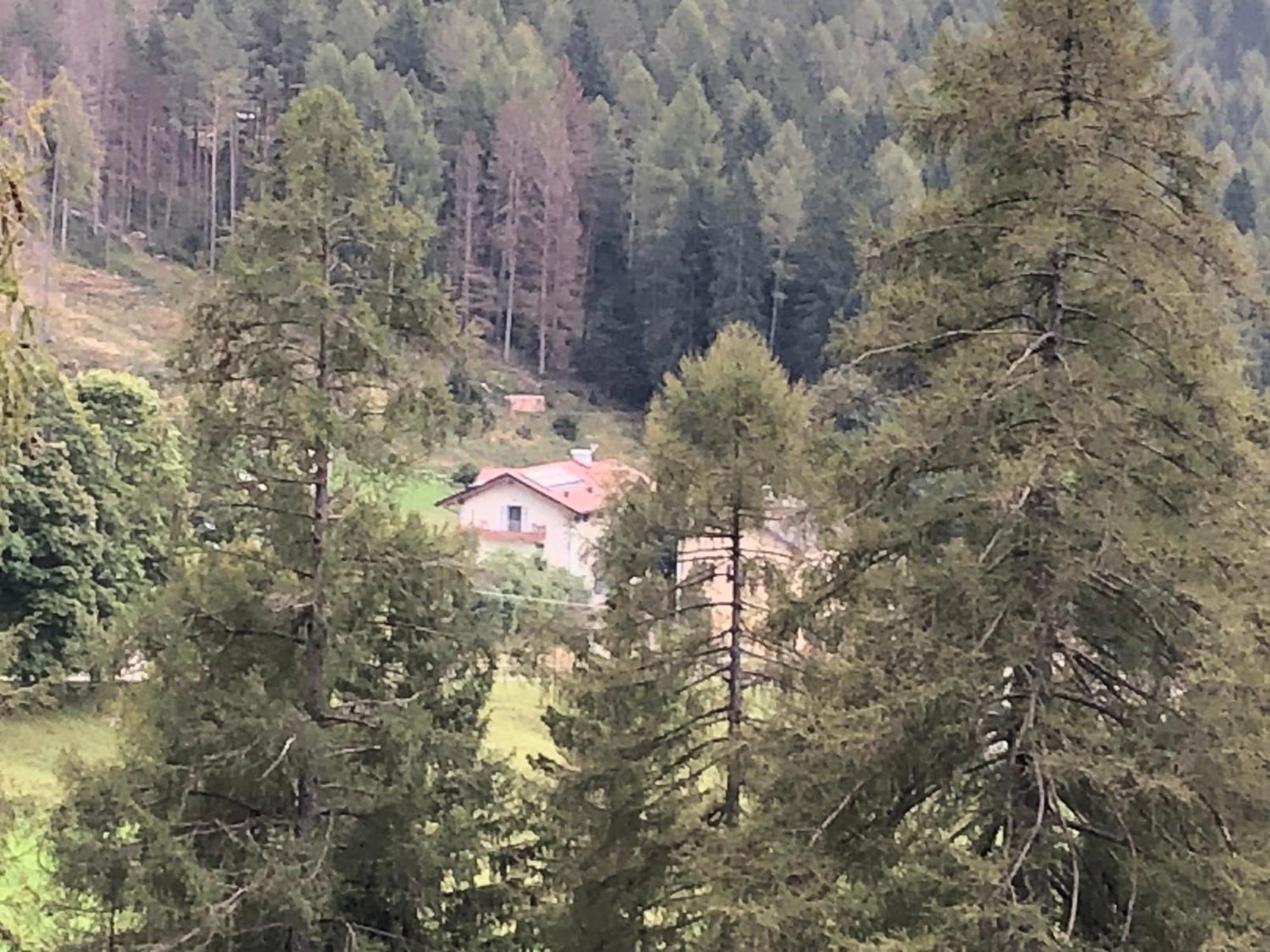 B&B Le Stagioni Di Stava Тезеро Екстериор снимка