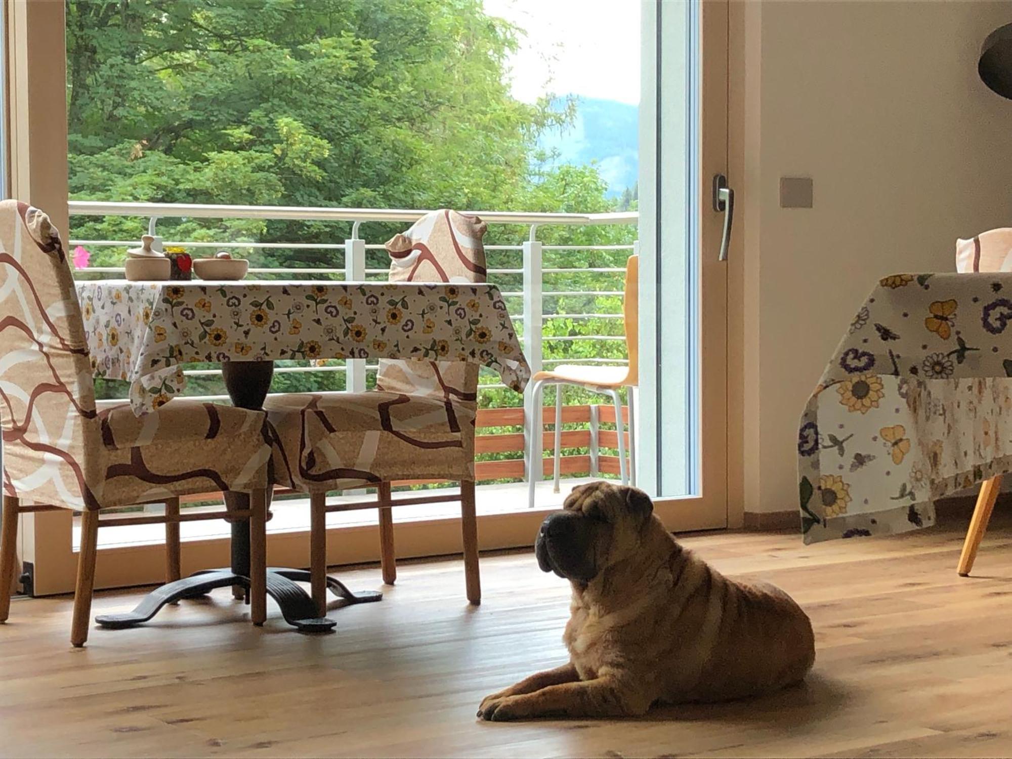 B&B Le Stagioni Di Stava Тезеро Екстериор снимка